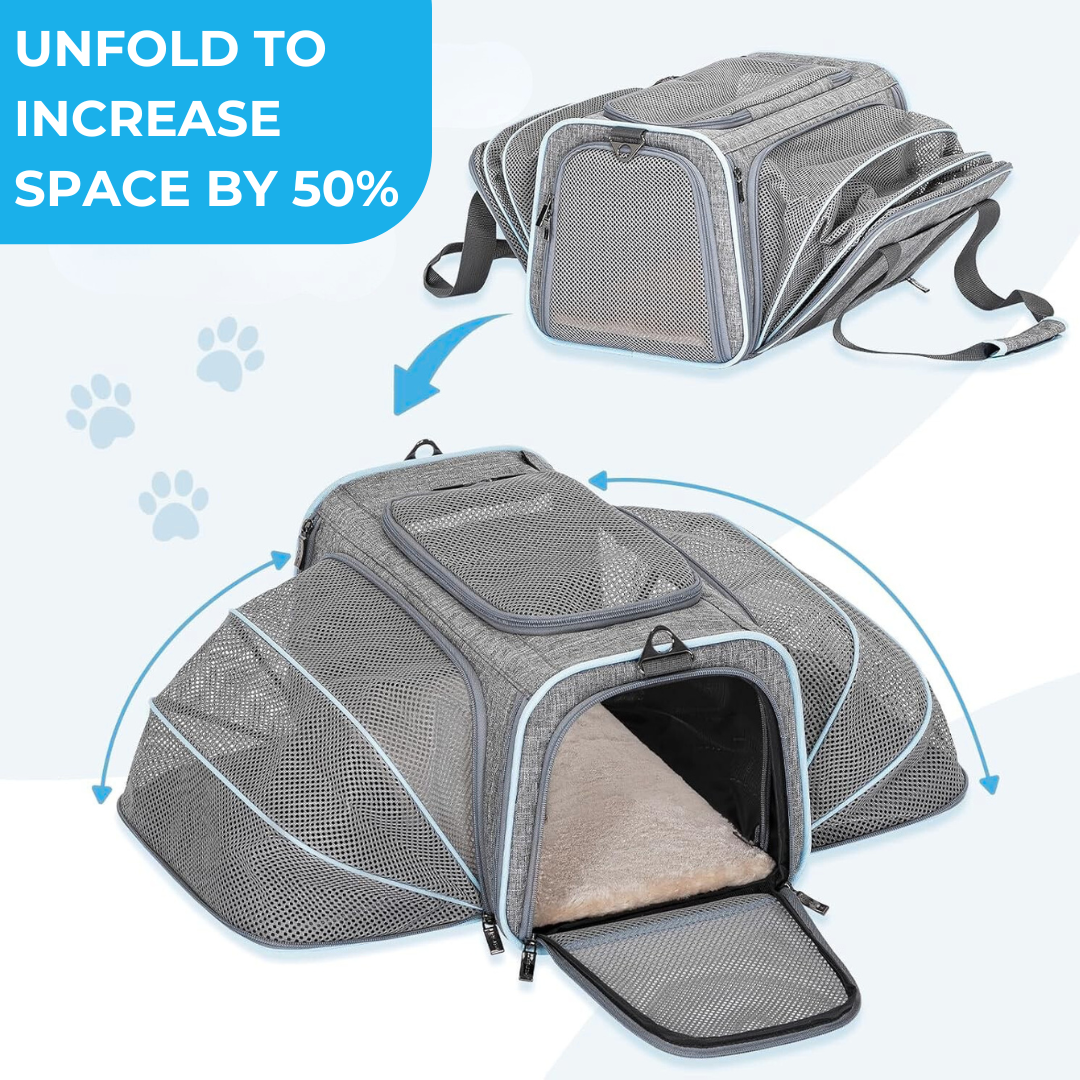 PawsGo™ - Airline Pet Carrier