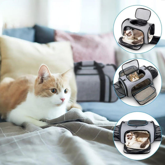 PawsGo™ - Airline Pet Carrier
