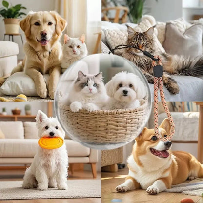 MemoGlobe™ 3D Video Crystal Ball